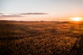 Aerial drone photo - Sunrise over a rural Sycamore Illinois cornfield. Royalty Free Stock Photo