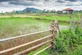 Beautiful rural farmland and rice growing fields ,in the Pakse area of southern Laos, South East Asia Royalty Free Stock Photo