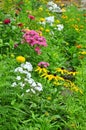 Beautiful rural flowerbed