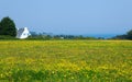 Beautiful rural landscape of Belle-Ile-en-Mer Royalty Free Stock Photo