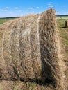 View of big round hay bale on the field Royalty Free Stock Photo