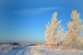 Beautiful rural landscape of Lithuania .