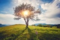 Beautiful rural landscape with old wooden fence, mountain view on horizon and blue cloudy sky. natural summer background