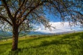 Beautiful rural landscape with old wooden fence, mountain view on horizon and blue cloudy sky. natural summer background Royalty Free Stock Photo