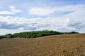 Beautiful rural landscape with plowed field, forest and blue sky Royalty Free Stock Photo