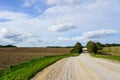 Beautiful rural landscape with plowed field, gravel road, forest and blue sky Royalty Free Stock Photo