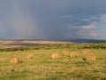 beautiful rural landscape with rolls of hay on agricultural wheat field Royalty Free Stock Photo