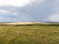 beautiful rural landscape with rolls of hay on agricultural wheat field Royalty Free Stock Photo