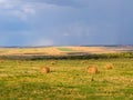 beautiful rural landscape with rolls of hay on agricultural wheat field Royalty Free Stock Photo