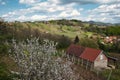 Beautiful rural landscape scenery with vineyards and forest on green hills at Klenice, Croatia, county hrvatsko zagorje Royalty Free Stock Photo