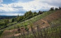 Beautiful rural landscape scenery with vineyards and forest on green hills at Klenice, Croatia, county hrvatsko zagorje Royalty Free Stock Photo