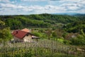 Beautiful rural landscape scenery with vineyards and forest on green hills at Klenice, Croatia, county hrvatsko zagorje Royalty Free Stock Photo