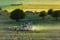 Beautiful rural landscape with shepherd and sheeps in the spring