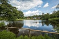 Beautiful rural landscape. A small settlement by the lagoon surrounded by greenery. Roztocze region, Majdan Kasztelanski, Poland