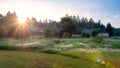 Beautiful rural landscape. Sunrise. Grass covered with dew. Old rural buildings Royalty Free Stock Photo