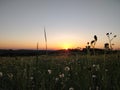 Beautiful rural landscape on sunset