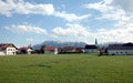 Countryside landscape with blossoming alpine meadows with green grass and mountains with snow caps at far away