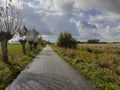 Beautiful rural landscape with willows along a road in holland in autumn Royalty Free Stock Photo