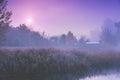 Beautiful rural morning landscape Royalty Free Stock Photo