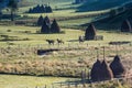 Beautiful rural mountain landscape in the morning light with fog, old houses and haystacks Royalty Free Stock Photo