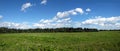 Beautiful rural panoramic landscape with green field, mixed forest and white clouds on blue sky on summer day Royalty Free Stock Photo