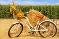 Ladies bicycle with a basket, a bouquet of wild flowers in front on the handlebars against the background of a heap of straw and a Royalty Free Stock Photo