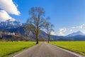 Beautiful rural road with trees, colorful grass in mountains