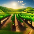 Beautiful rural scene with vineyard on hills with trees and bushes against Royalty Free Stock Photo