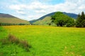 Beautiful rural scenery, Lake District Royalty Free Stock Photo