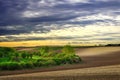 Beautiful rural spring landscape in sunset