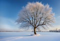 beautiful rural winter landscape