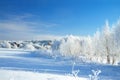 Beautiful rural winter landscape with the village and the forest