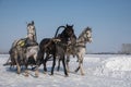 A beautiful Russian troika of horses rides through the arena in