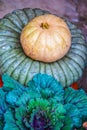 Beautiful rustic autumn arrangement of decorative colorful kale and decorative assorted pumpkins - vertical