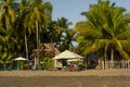 Beautiful rustic house surrounded by palm trees. Royalty Free Stock Photo