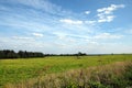 Nature landscape with green field and forest far away on summer day horizontal Royalty Free Stock Photo