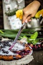 Beautiful rustic pie with black currants. quick pie in the pan