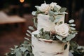Beautiful rustic wedding cake decorated with eucalyptus and flowers