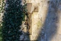 Beautiful rusty Jesus Christ crucifixion statue during sunset partly covered with common ivy, hedera helix on old wall Royalty Free Stock Photo