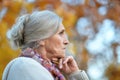 Beautiful sad elderly woman in autumn park Royalty Free Stock Photo