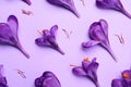 Beautiful Saffron crocus flowers on light violet background, above view