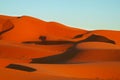 Beautiful Sahara dunes at sunset Royalty Free Stock Photo