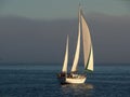 Beautiful sailboat cruising 2
