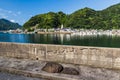 Beautiful Sakitsu town in Amakusa, Kyushu, Japan. Royalty Free Stock Photo