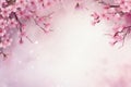 Beautiful Sakura Cherry Blossom Banner on Soft Pink Background Royalty Free Stock Photo
