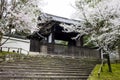 Cherry blossoms, Kyoto, Japan Royalty Free Stock Photo