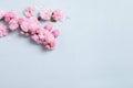 Beautiful sakura tree blossoms on light blue background, flat lay. Space for text Royalty Free Stock Photo