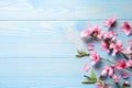 Beautiful sakura tree blossoms on light blue wooden background, flat lay. Space for text Royalty Free Stock Photo