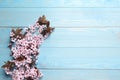 Beautiful sakura tree blossoms on light blue wooden background, flat lay. Space for text Royalty Free Stock Photo
