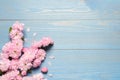 Beautiful sakura tree blossoms on light blue wooden background, flat lay. Space for text Royalty Free Stock Photo